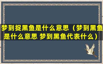 梦到捉黑鱼是什么意思（梦到黑鱼是什么意思 梦到黑鱼代表什么）